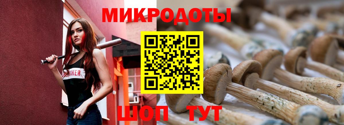 Псилоцибиновые грибы Cubensis Фролово