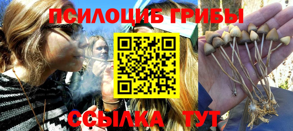 Фролово  Галлюциногенные грибы Cubensis  Вход с VPN  Псилоцибиновые грибы мицелий 